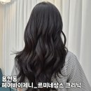 [용현동] 르미네상스 헤어 크리닉 후기_헤어바이제니
