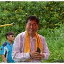 손오공농장 Daum카페