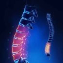 척척의원 이미지