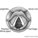 성대한의원 이미지