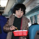 한반도관광 이미지