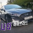 LF소나타 하이브리드 뉴라이즈 2019년 최신형! 풀옵션! 이미지