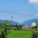 초전면사무소 이미지