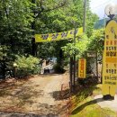동상계곡 알프스산장 계곡 평상 후기