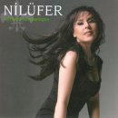 NIL Daum카페