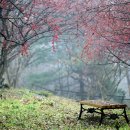 이천시 인공암벽등반장 이미지