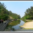 진잠초등학교 이미지