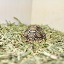 간양농장 이미지