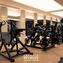 스포데이 휘트니스 두정점 이미지