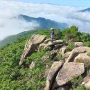 양산시 능걸산~뒷삐알산 종주 ( 220715 ) 이미지