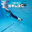 노마드 | 서울 프리다이빙 블루노마드 1레벨 자격증 후기