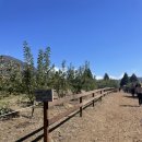 엘에이농장 이미지