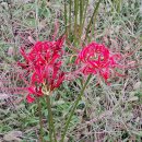 효창공원 이미지