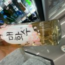 2002년 전설의 매실주 ‘매화수’ 다시 마셔봤어요🍶 (링거주 주의⚠️)