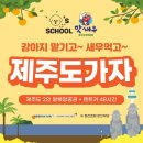 댕스하루 이미지