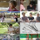 새울카페 이미지