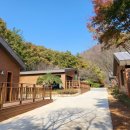 흑석산 자연휴양림 이미지
