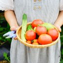 군산시농촌관광협동조합 이미지