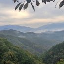 감골공원길 이미지