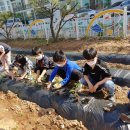 무극초등학교 이미지