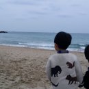 홍원쌈밥 이미지