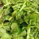 삼평식당 이미지