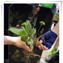 승현농장 이미지