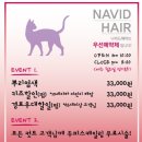 나비드헤어샵 - 51781 | 나비드헤어샵