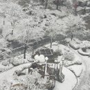 아리수로 50길 이미지