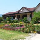 아름다운 정원을 꿈 이미지