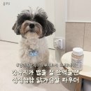 더펫플레이스 네이버블로그
