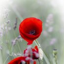 세정한의원 이미지