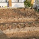 해동검도 합기도 이미지