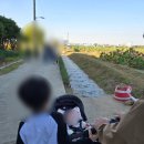 연꽃테마파크 | 시흥 연꽃테마파크 주말에 아이랑 다녀온 후기
