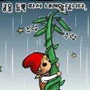 잭과콩나물