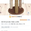 고로고로펫 | 고양이 집사 필수 인생템 TOP3｜8년차 집사의 내돈내산 찐사용 후기