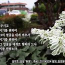 동부교회 앞 이미지