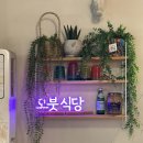 덮밥카노 이미지