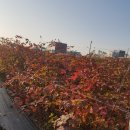 소담농장 이미지