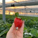 원봉농장 이미지