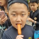 태무강울태권도장 이미지