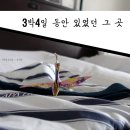 대중당 | 오키나와숙박 아파호텔나하 3박 보내기