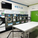 크린토피아코인워시대전 이미지