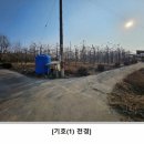 이의수농장 네이버블로그