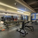 올페이스짐 | [배곧헬스] 아기 엄마👩‍👦도 원하는 몸을 만들 수 있는 곳 &#34;24시 올페이스짐&#34;🎽👟