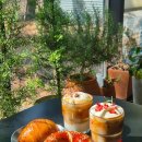 바움 | [용인카페] 에버랜드 근처 이쁜 대형카페 "화이트바움" 다녀온 후기 !