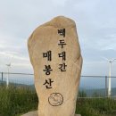 매봉산 | 매봉산 바람의 언덕 솔직 후기: 평생 잊지 못할 풍경, 하지만 두 번은 못 갈 것 같다