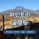 파인트리 | [숙소] 경기도 포천 파인트리 오토캠핑장 (럭셔리 패밀리 카라반)