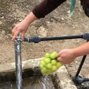 팔공산글램핑 이미지