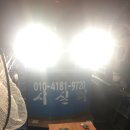 시실리호 | 오천항 시실리호 쭈꾸미 대사리 조행기